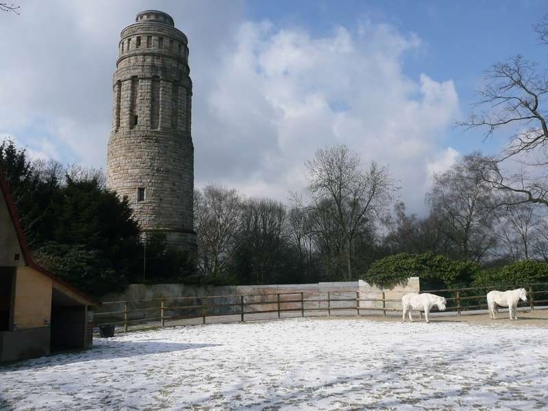 und Bismarckturm, Einfamilienhaus Bochum