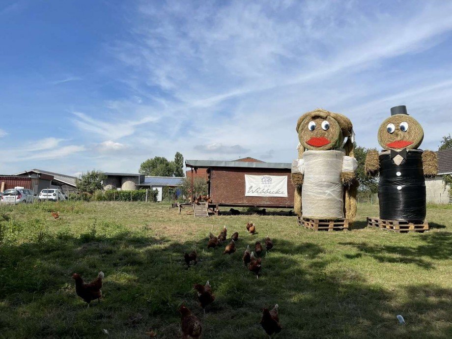 Natur herum: u. a. Reiheneckhaus Bochum