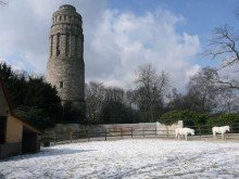 + Bismarckturm, LORENZ-Angebot in Linden: Solides 3-Fam.-REH auch zur Anlage! EG-Maisonette sowie DG-Wohnung frei.