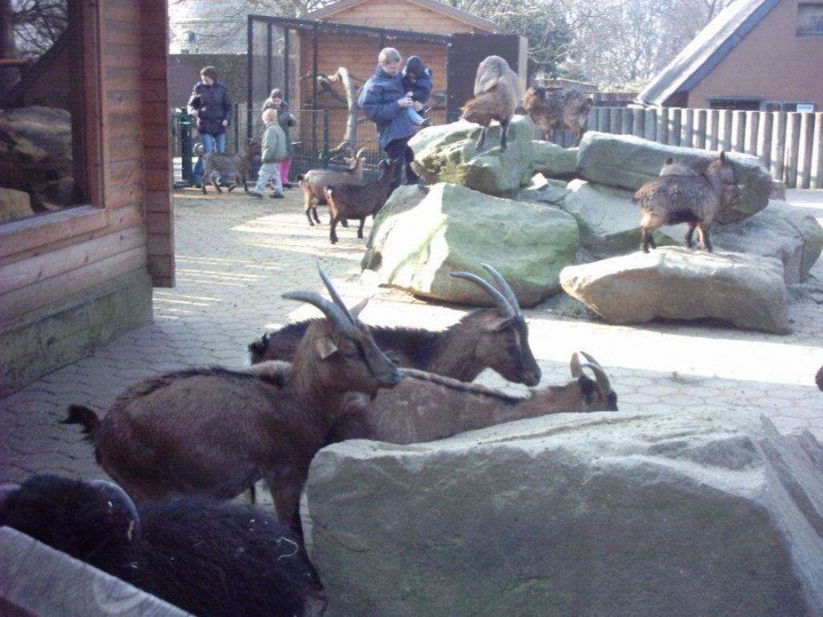 Tierpark mit Fossilium Einfamilienhaus Bochum