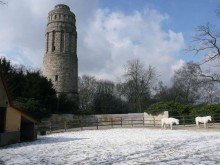 mit Bismarckturm, LORENZ-Angebot in BO-Hamme: Ideal f�r den Single o. Paar! Helle, gem�tliche 2,5-R.-W. -Sehr zentral!