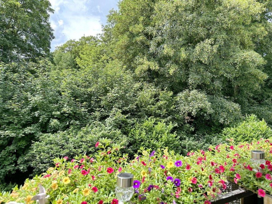 Mit Balkon direkt zum Gr�nen. Wohnung Gelsenkirchen