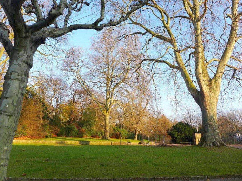 Stadtpark mit Einfamilienhaus Bochum