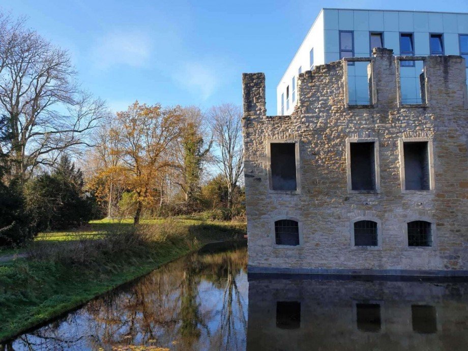 Weitmarer Schlosspark (80 ha)+ Reihenmittelhaus Bochum