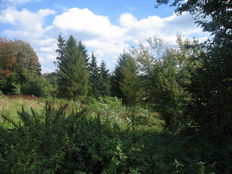 H�rsterholz + Neveltal, Reiheneckhaus Bochum