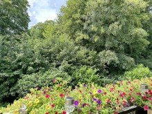 Mit Balkon direkt zum Park. LORENZ-Angebot in �ckendorf/unweit WAT: Parklage. Helle, gut modernisierte 3 1/2-R.-Komfort-Wohnung.