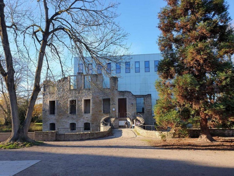 + Weitmarer Holz mit Herrenhausruine Renditeobjekt Bochum