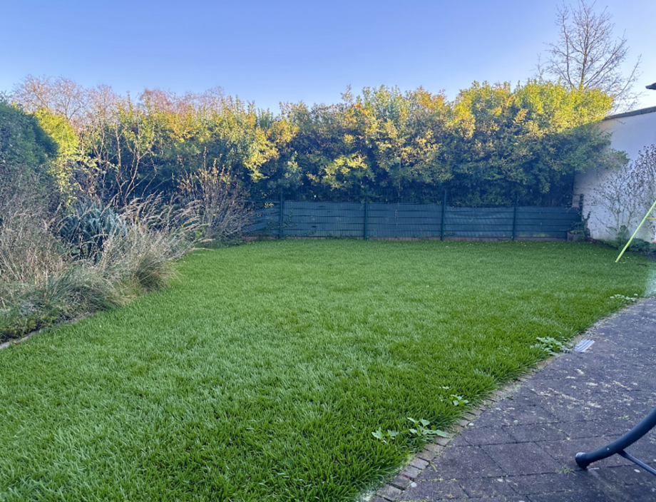 pflegeleichter Garten. Mehrfamilienhaus Bochum-Wattenscheid