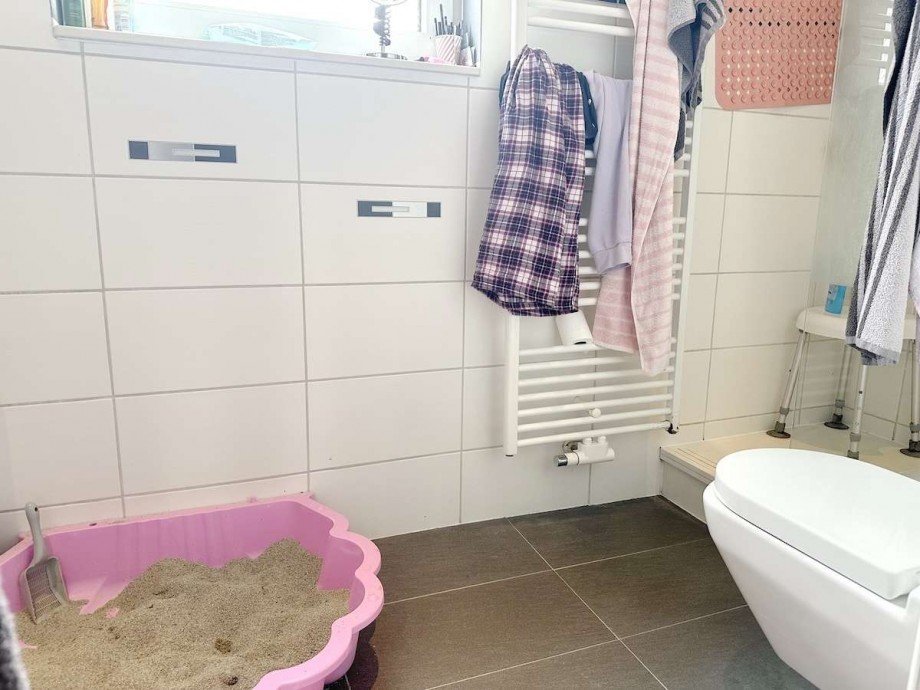 Duschbad - auch mit Fenster. Zweifamilienhaus Bochum