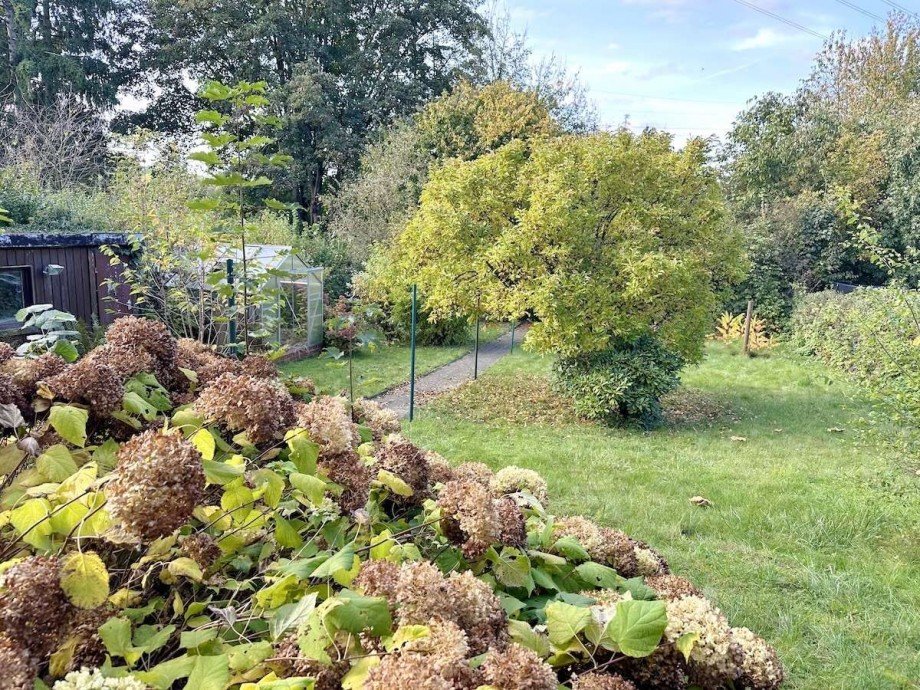 Die Gartensicht. Dachgeschosswohnung Bochum